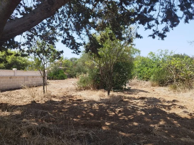 Appartamenti in Vendita - Terreno con trullo