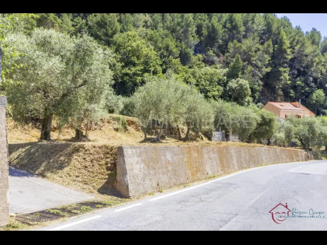 Appartamenti in Vendita - Terreno edificabile in vendita ad ortovero loc campi