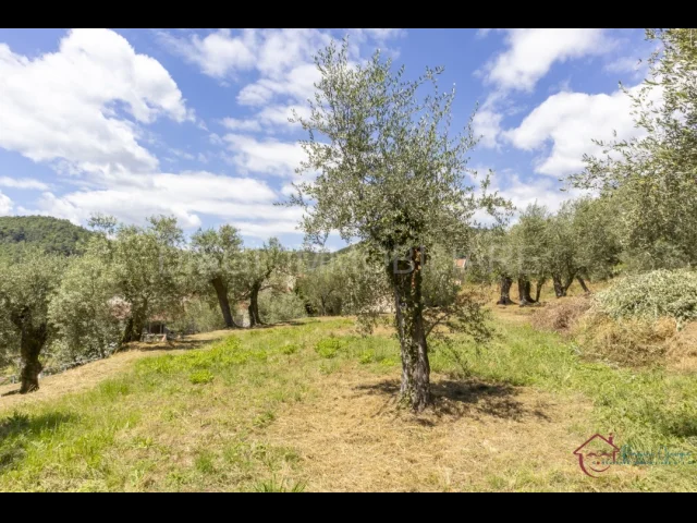 Appartamenti in Vendita - Terreno edificabile in vendita ad ortovero loc campi