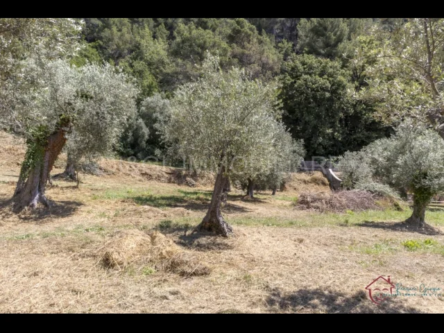 Appartamenti in Vendita - Terreno edificabile in vendita ad ortovero loc campi