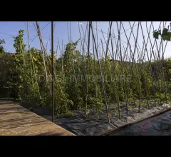 Appartamenti in Vendita - Villa bifamiliare porzione con giardino vendita a garlenda