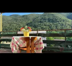 Appartamento monolocale con terrazza in vendita a ortovero