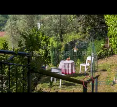 Appartamenti in Vendita - Indipendente casa con giardino in vendita a casanova lerrone