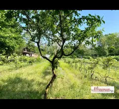 Appartamenti in Vendita - Terreno agricolo a motta visconti