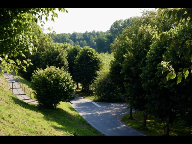 Appartamenti in Vendita - Villa morimondo