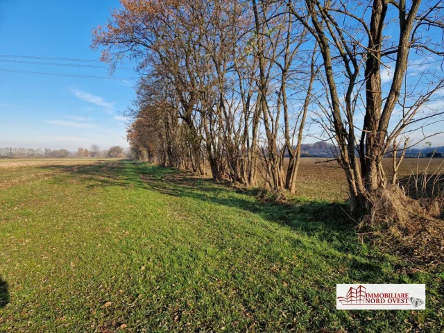 Terreno agricolo casorezzo