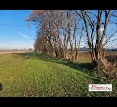 Terreno agricolo casorezzo
