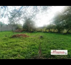 Appartamenti in Vendita - Area edificabile ideale per ampia villa di due famiglie