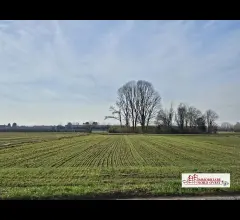 Terreno agricolo corbetta.
