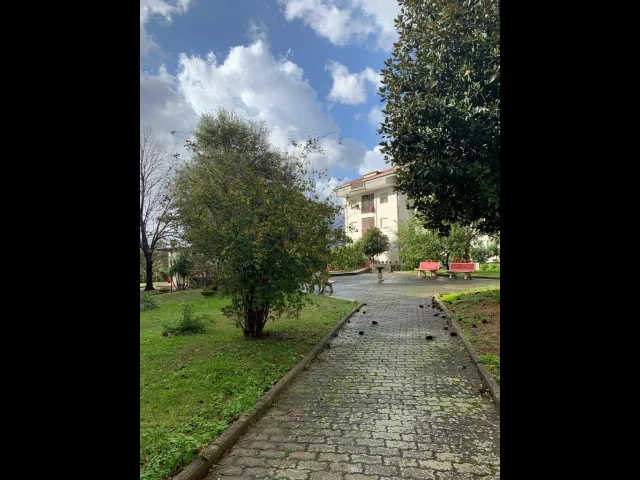 Appartamenti in Vendita - Luminosissimo 4 vani in parco con terrazzino, cantina e box.