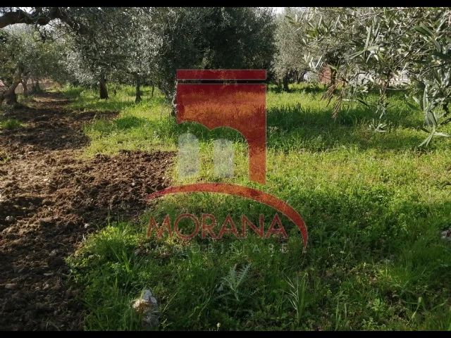 Appartamenti in Vendita - Fabbricato rurale da ristrutturare su terreno edificabile