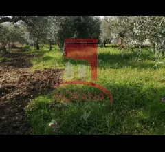 Appartamenti in Vendita - Fabbricato rurale da ristrutturare su terreno edificabile