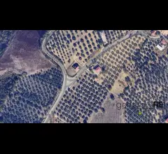 Appartamenti in Vendita - Vendesi terreno edificabile moscufo