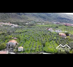 Appartamenti in Vendita - Terreni edificabili in all'interno di lottizzazione
