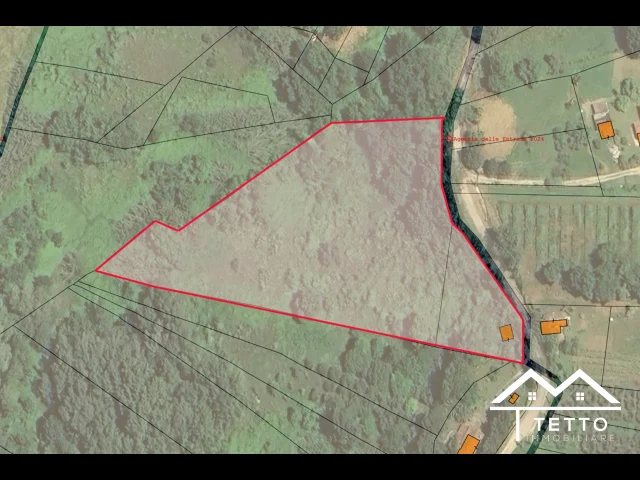 Appartamenti in Vendita - Forano - terreno agricolo di circa 1 ha con magazzino 26 mq