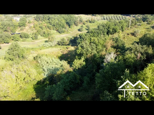 Appartamenti in Vendita - Forano - terreno agricolo di circa 1 ha con magazzino 26 mq