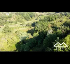 Appartamenti in Vendita - Forano - terreno agricolo di circa 1 ha con magazzino 26 mq