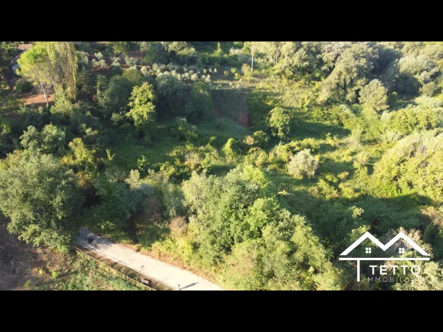 Appartamenti in Vendita - Forano - terreno agricolo di circa 1 ha con magazzino 26 mq