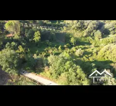 Appartamenti in Vendita - Forano - terreno agricolo di circa 1 ha con magazzino 26 mq