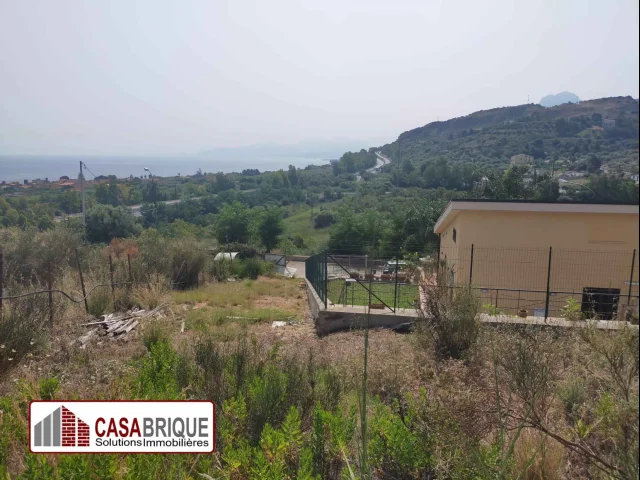 Appartamenti in Vendita - Terreno edificabile a trabia in contrada morello