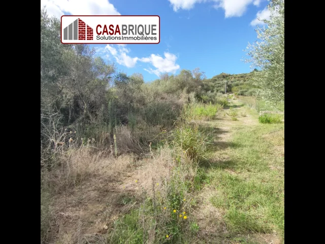 Terreno in vendita a campofelice di roccella