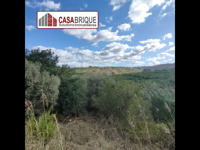 Appartamenti in Vendita - Terreno in vendita a campofelice di roccella