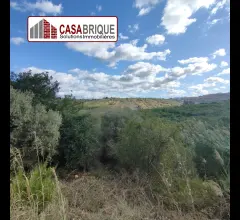 Appartamenti in Vendita - Terreno in vendita a campofelice di roccella