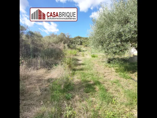 Appartamenti in Vendita - Terreno in vendita a campofelice di roccella