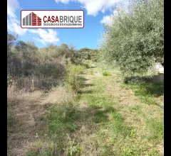 Appartamenti in Vendita - Terreno in vendita a campofelice di roccella