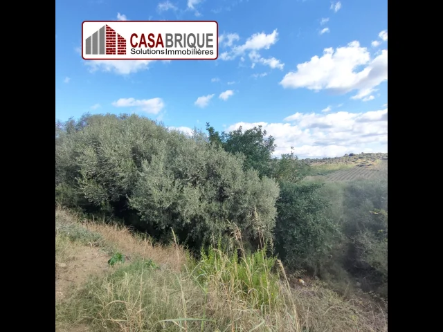 Appartamenti in Vendita - Terreno in vendita a campofelice di roccella