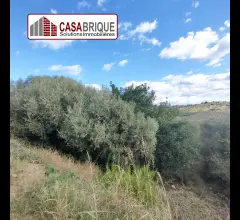 Appartamenti in Vendita - Terreno in vendita a campofelice di roccella
