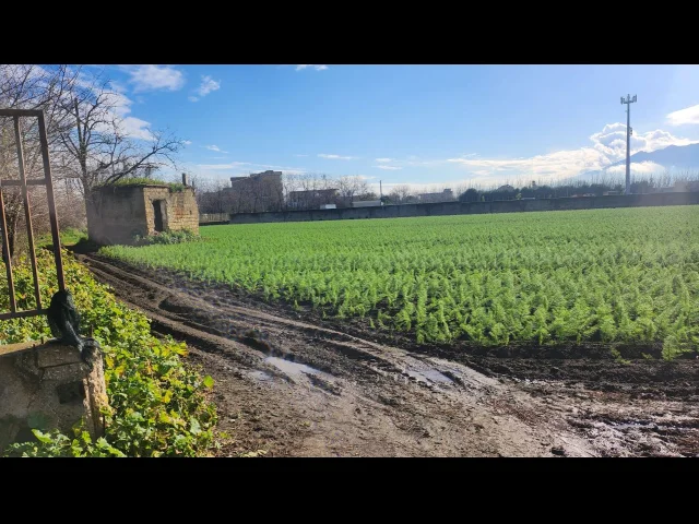 Terreno agricolo di 10.463 mq