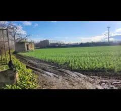 Terreno agricolo di 10.463 mq