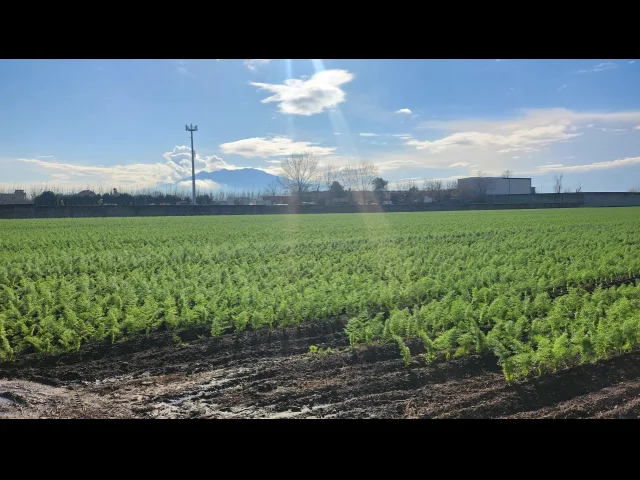Appartamenti in Vendita - Terreno agricolo di 10.463 mq