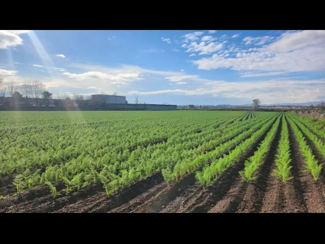 Appartamenti in Vendita - Terreno agricolo di 10.463 mq