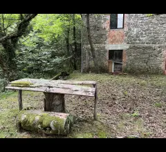 Appartamenti in Vendita - Stalla con fienile