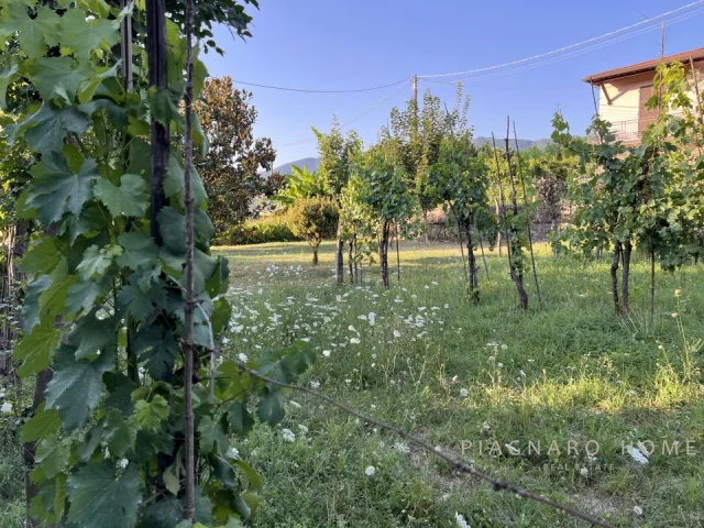 Appartamenti in Vendita - Semi indipendente con terreno