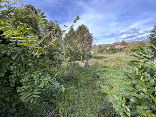 Appartamenti in Vendita - Semindipendente con giardino