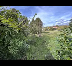 Appartamenti in Vendita - Semindipendente con giardino