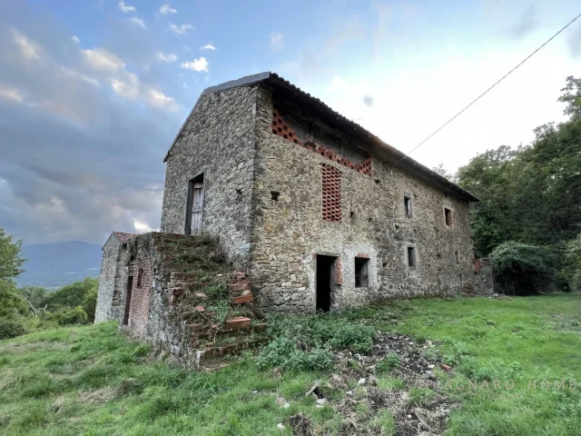 Appartamenti in Vendita - Casale con terreno
