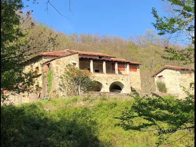 Appartamenti in Vendita - Casale con terreno