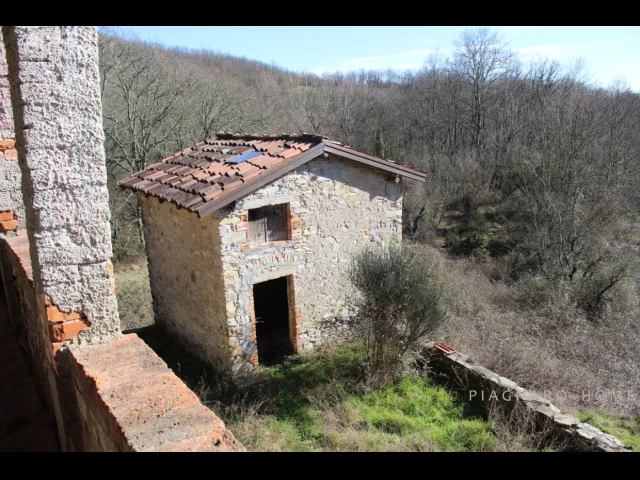 Appartamenti in Vendita - Casale con terreno