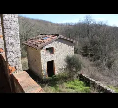 Appartamenti in Vendita - Casale con terreno