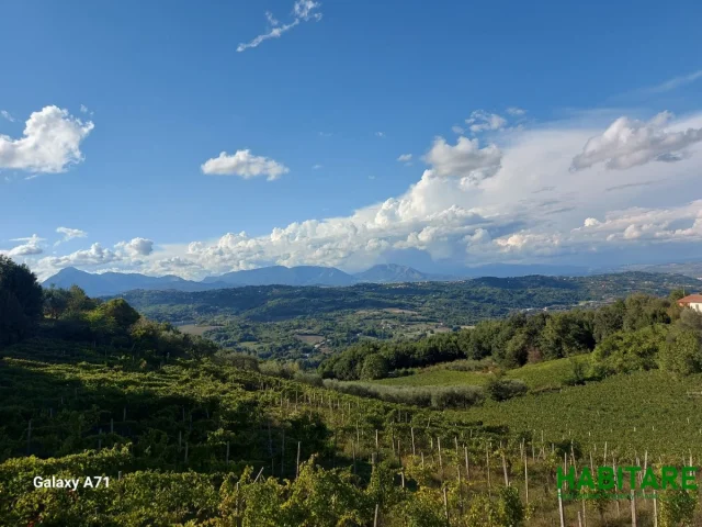 Casa di riposo - casa albergo per anziani - residenza per anziani in provincia di avellino