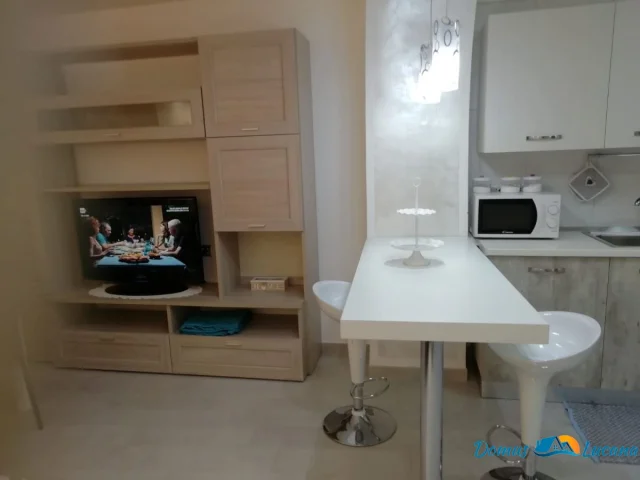 Appartamenti in Vendita - Appartamento ristrutturato