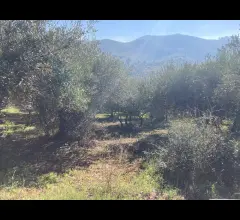 Appartamenti in Vendita - Via portella di palermo - unifamiliare + terreno