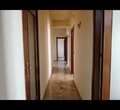 Appartamenti in Vendita - Perpignano alta - trilocale + servizi