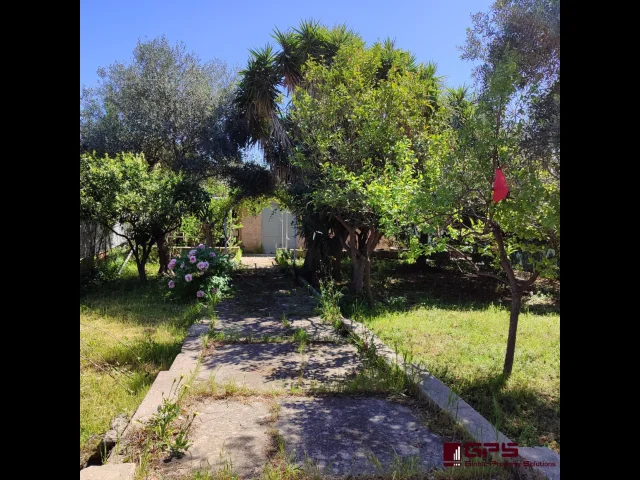 Appartamenti in Vendita - Casa indipendente con giardino