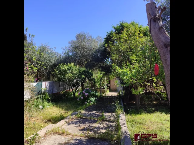 Appartamenti in Vendita - Casa indipendente con giardino