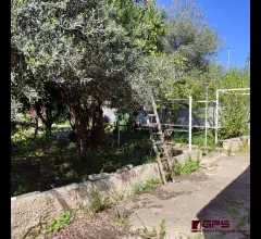 Appartamenti in Vendita - Casa indipendente con giardino